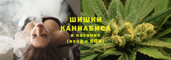 дмт Надым